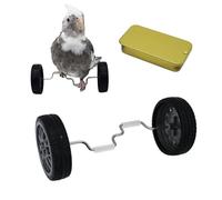 Cat Toys For Indoor Cats, Pet Training Clicker With Wrist Strap, Cat Toys Interactive For Indoor Cats, Beneficial Bird Intelligence Trick Prop Toy Safe For Finch Long Tailed Parrot Grey Parrot