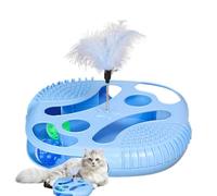 Cat Track Toy, Play Tray Cat Toys, Interactive Exercise Balls, Teasing Feather Cat Toy, Hollowed Cat Sensory Toys, Mental Stimulation Toys, Sensory Toys With Teasing Feather For Mental Stimulation