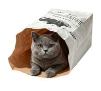 Cat Tunnel Bag Concealed Sound Paper Hiding Cave Cat Tunnel Toy