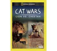 Cat Wars: Lion Vs. Cheetah