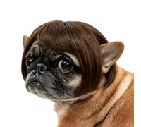 Cat Wig Funny Adjustable Human-Style Bangs Pet Funny Human-Like Sty Costume