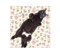 Cat Wrap - Cat Wrap pour couper le manteau d'ongles, anti-añazos et anti-escape - Restriction des toilettes - Bel emballage multifonctionnel pour chats pour animaux de compagnie et amis