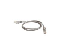 Cat6 Booted Unshielded (UTP) Network Patch Cable - Cordon de raccordement - RJ-45 (M) pour RJ-45 (M) - 1 m - UTP - CAT 6 - moulé, sans crochet,