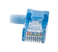 Cat6 Booted Unshielded (UTP) Network Patch Cable - Cordon de raccordement - RJ-45 (M) pour RJ-45 (M) - 30 cm - UTP - CAT 6 - moulé, sans crochet,