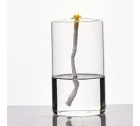 CATA-MEDICA Creative Transparent Lampe À Huile en Verre À La Main Personnalisé sans Fumée Bougeoir Décoratif Salon Salle À Manger Lampe À Kérosène Simple Chambre Étude Décoration Lampe À Kérosène