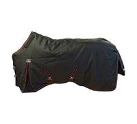 CATAGO Endurance 1680D Couverture pour Chevaux, 150g Noir 165 CM Plafond Cheval