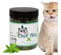 Cataire, Cataire Fraîche pour Chats 20g, Attrait Apaisant Interactif Saveur Sûre Fournitures pour Divertissement Heureux Environnement Actif Intérieur