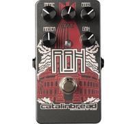 Catalinbread ROYAL ALBERT HALL