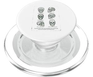 Catalogue des Calaveras de Sucre, Guide de Campagne naturaliste PopSockets PopGrip pour MagSafe