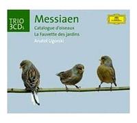 Catalogue d'oiseaux - Fauvette des jardins E