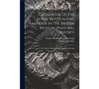 Catalogue Of The Fossil Reptilia And Amphibia In The British Museum natural History by Richard Lydekker Paperback Book Richard Lydekker (Auteur)
