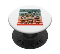Catalogue Papillons Papillons Vintage Collection Papillons PopSockets PopGrip Adhésif