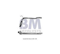 Catalyseur BM CATALYSTS BM80025H