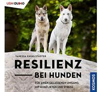 Catan Band 2: Geheimbund der Raben