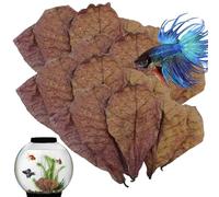 Catappa Amandes indiennes pour aquarium, pH équilibré, carapace de tortue, réservoir de poisson pour tortues, poissons-chats, accessoires d'habitat