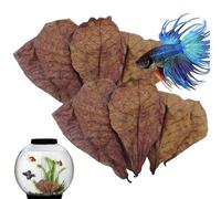 Catappa Amandes indiennes pour aquarium, pH équilibré, carapace de tortue, réservoir de poisson pour tortues, poissons-chats, accessoires d'habitat