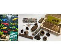 Catappa-Leaves Coffre au trésor pour les amis de l'aquariophilie avec nourriture pour crevettes, poissons et grottes comme cachette décorative + feuilles de badamier, cônes d'aulne Vuka Cholla