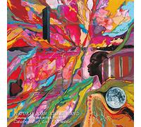 Catastrophe of Love Psychedeli [Import allemand]