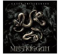 Catch 33