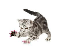 Catchaude à Chat, Couvercle de l'ongle de Chat, PVC à l'usure Quatre Tailles pour Animaux de Compagnie pour Chats (XS)