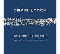 Catching the Big Fish: Meditation, Consciousness and Creativity by David Lynch (2007-10-04)