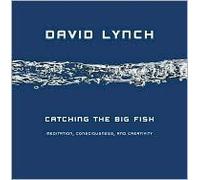 Catching the Big Fish: Meditation, Consciousness, and Creativity by David Lynch
