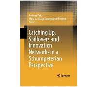 Catching Up, Spillovers And Innovation Networks In A Schumpeterian Perspective