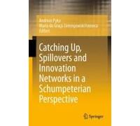Catching Up, Spillovers And Innovation Networks In A Schumpeterian Perspective