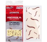 Catchmaster Centipede XL Piège à Centipede 6 pièges à colle