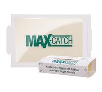 Catchmaster Max-Catch Lot de 72 pièges à Souris et Insectes adhésifs pour la Maison, Plateau adhésif pour Attraper Les Insectes, Panneaux de Colle Non Toxiques en Vrac Non parfumés