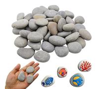 CATELL 25 Pièces Galets a Peindre, 3 à 5 cm Pierres Plates à Peindre Galets Naturels avec Surface Lisse et Plane DIY Peintes Rocher pour Les Arts La Peinture La Décoration de Jardin L'artisanat