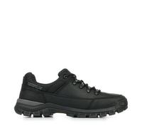 Caterpillar Threshold Hiker - 46