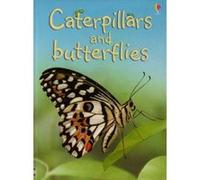 Caterpillars and Butterflies (Beginners)
