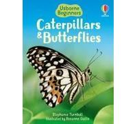 Caterpillars And Butterflies