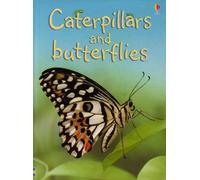 Caterpillars and Butterflies (Beginners)