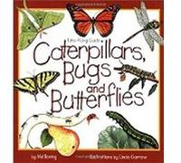 Caterpillars Bugs and Butterflies by Mel Boring Mel Boring (Auteur)