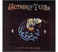 Catfish Rising [Import]
