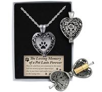 Cathedral Art (Abbey & CA Gift toujours dans mon m daillon de m daillon Memorial Pet comprend une cha ne de 24 pouces