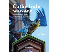 Cathédrale Sauvage