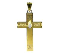 Catholique Marie Julie Jahenny de la bénédiction avec croix de protection du pardon avec flamme en émail blanc, Sainte Croix de Pardon, crucifix fin des temps en acier inoxydable, Cruz del perdón