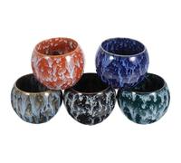 CATIEBYE Lot de 5 Tasses à Thé en Céramique Rétro Motifs Délicats, Design Simple et Chic, Utilisation Prolongée Bureau la Maison