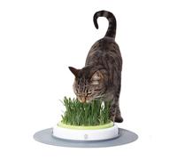 Catit Jardin d'Herbe à Chat