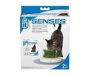 Catit Recharge Jardin d'Herbe à Chat