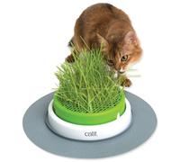 CATIT Senses 2.0 Pot d'herbe - Grass Planter