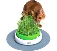 Catit Senses | Ensemble pour chat | Bol avec herbe de jardin | 5.5 x 37 x 37 cm