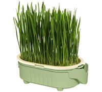 Catnip Cat Grass Box, Chat Grass Hydroponic Planting Playing, débutant pour Les débutants en Creux, récipient d'arrosage sans Sol pour Le Rebord de la fenêtre, Le Jardin, la Cour