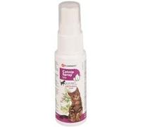 Catnip en spray de 25 ml. pour votre chat. - Flamingo Pet Products - FL-503760 G
