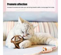 Catnip Wooden B Silvervine S Dents de la Broyage Améliorer l'appétit Cat Mâchonnez Catnip B pour Chat Chaton et Qui Fait Le Chat i en Bois Ballsilvervine S Ballcat Maillement