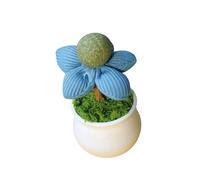Catnips Naturel Jouet Végétal en Pot pour Chaton De Divertissement Intérieur Et D'amélioration Comportementale Taquin Et Fiançailles Jouet Chats