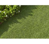 Catral Rouleau de gazon synthétique 20 mm 2 x 4 m - Calpe X-tra S20 - 22040010